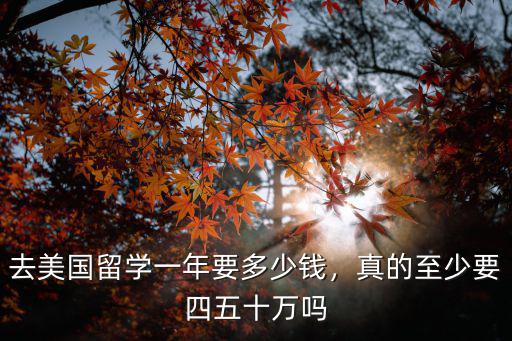 中山辦理留學一年多少錢,去美國留學一年要多少錢