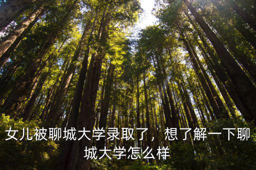 女兒被聊城大學錄取了，想了解一下聊城大學怎么樣