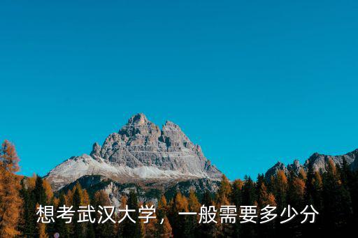 山東報考武漢大學多少分,一般需要多少分