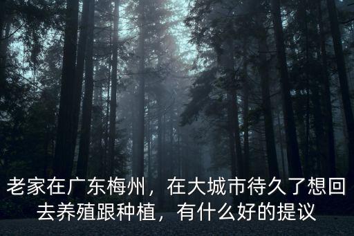 梅州建德老家在哪里,梅州在近現代有什么名人