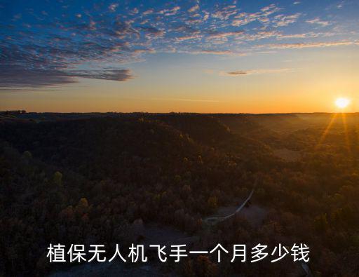 濱州植保無人機多少錢,植保無人機飛手一個月多少錢