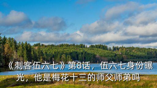 《刺客伍六七》第8話，伍六七身份曝光，他是梅花十三的師父師弟嗎