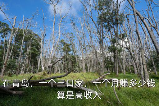在青島，一個三口家，一個月賺多少錢算是高收入