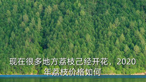 2020深圳荔枝多少錢一斤,2020年荔枝價格如何