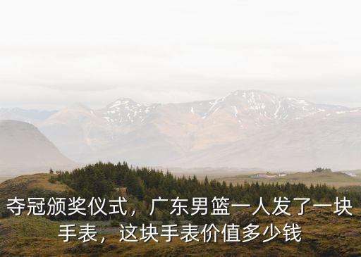 廣東球迷捐款多少錢,這塊手表價值多少錢