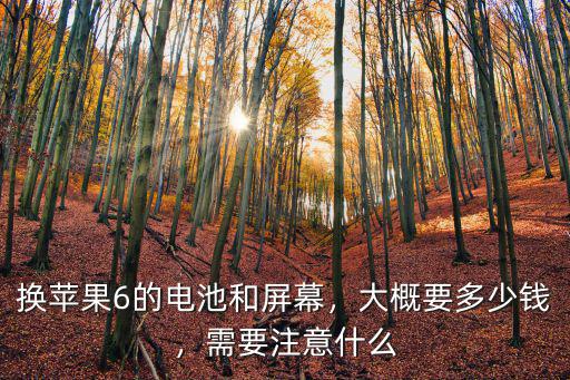 濟(jì)南通訊城換蘋果電池多少錢,大概要多少錢