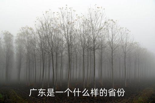 中國廣東多少個省,廣東是一個什么樣的省份