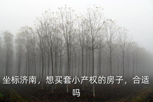 坐標(biāo)濟(jì)南，想買套小產(chǎn)權(quán)的房子，合適嗎
