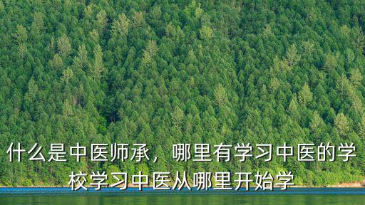 什么是中醫師承，哪里有學習中醫的學校學習中醫從哪里開始學