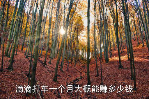 菏澤滴滴車主每月多少錢,跑滴滴一個月能掙多少錢