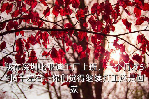 深圳工廠上班一個月有多少工資,我在深圳比亞迪工廠上班