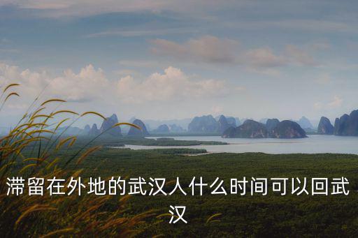 滯留在外地的武漢人什么時間可以回武漢