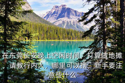 在東莞長安晚上空閑時間，打算做地攤，請教行內人，哪里可以擺，新手要注意些什么