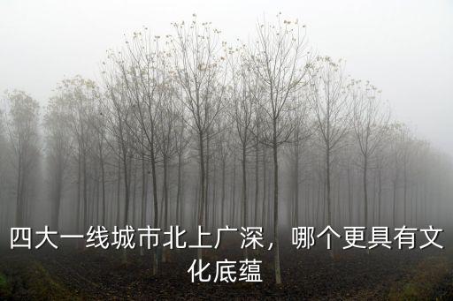 廣州四大城市是哪里,四大一線城市北上廣深