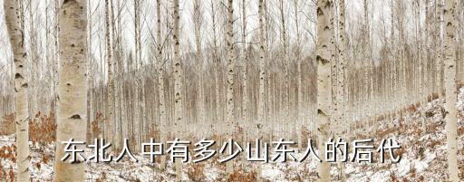 寧城有多少山東人,其中有多少人來自山東