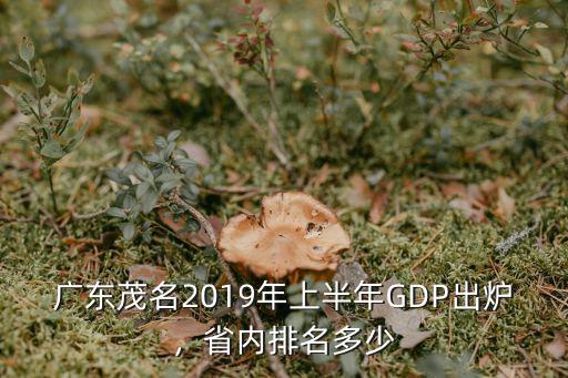 廣東茂名2019年上半年GDP出爐，省內排名多少