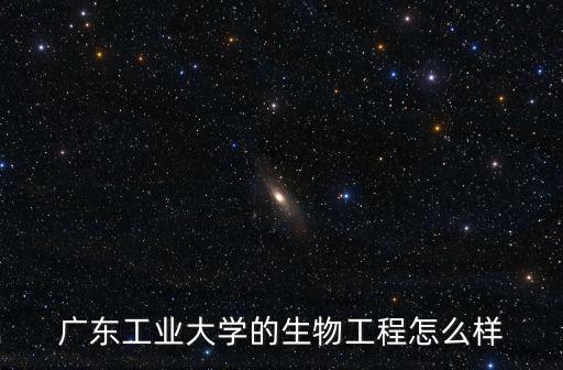 廣東工業大學的生物工程怎么樣