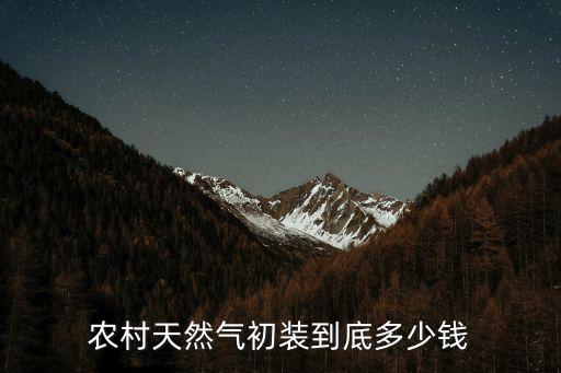 山東樂陵農村按天天然氣要多少錢,農村天然氣初裝到底多少錢