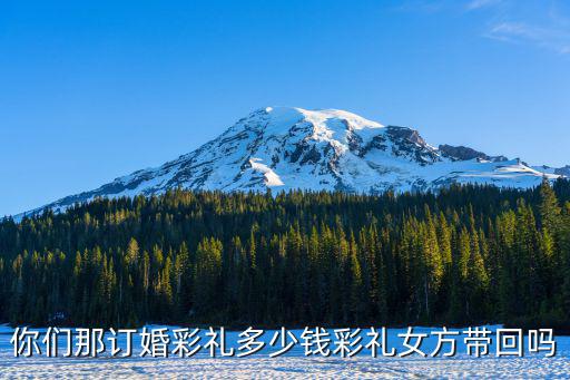 你們那訂婚彩禮多少錢彩禮女方帶回嗎