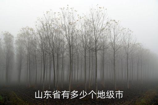 山東有多少個(gè)張士群,山東最大的城市有哪幾個(gè)