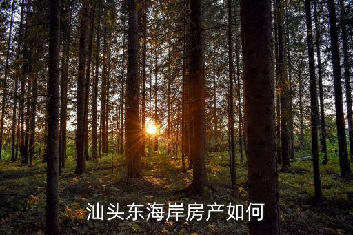 汕頭東海岸大道在哪里,東海岸有人住嗎