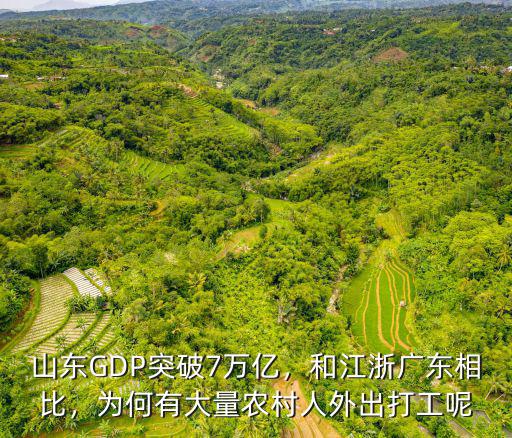 山東省有多少人在外打工,我們山東人在外打工