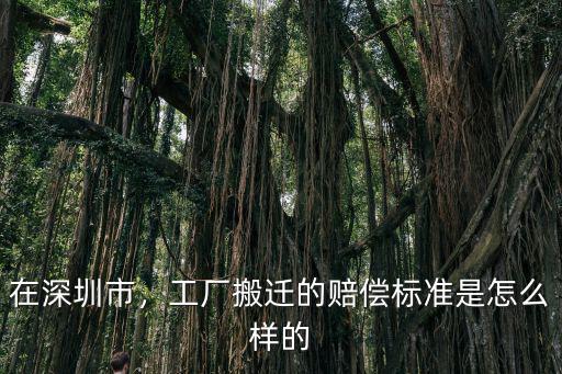 深圳市茜子工廠在哪里,深圳哪里的工廠比較多