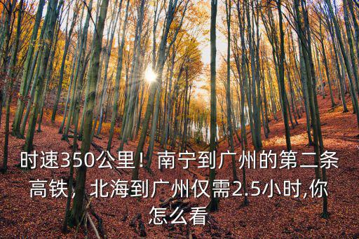 時速350公里！南寧到廣州的第二條高鐵，北海到廣州僅需2.5小時,你怎么看