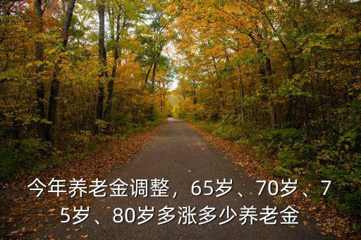 今年養老金調整，65歲、70歲、75歲、80歲多漲多少養老金