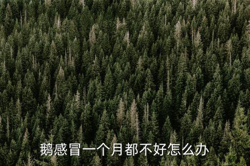深圳感冒一個月不好怎么辦,鵝感冒一個月都不好怎么辦