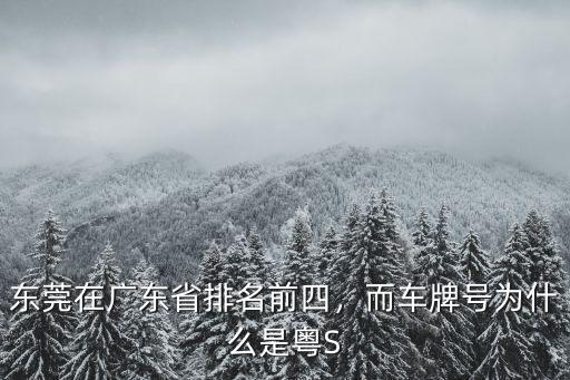 廣東東莞車了牌是多少,東莞在廣東省排名前四