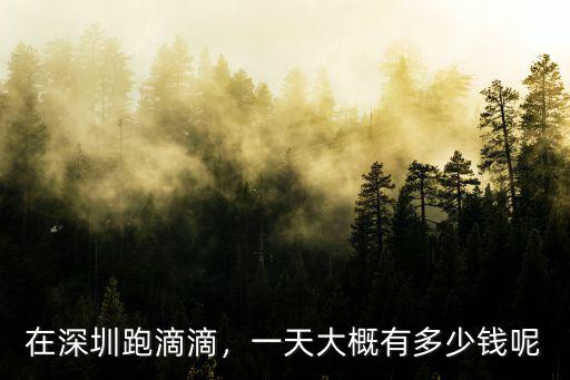 網(wǎng)約車在深圳能有多少錢,月收入能有多少