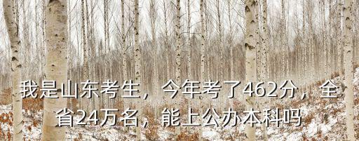 我是山東考生，今年考了462分，全省24萬名，能上公辦本科嗎