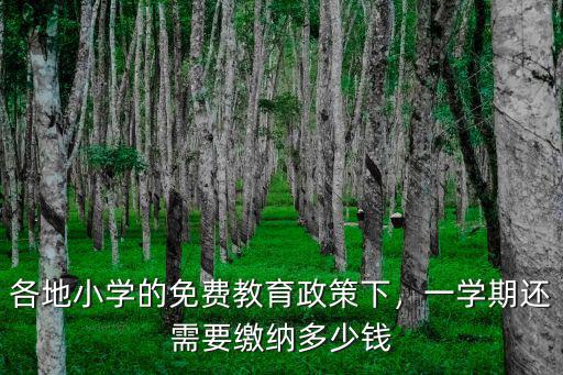 各地小學的免費教育政策下，一學期還需要繳納多少錢