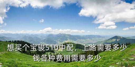 想買個寶駿510中配，上路需要多少錢各種費用需要多少