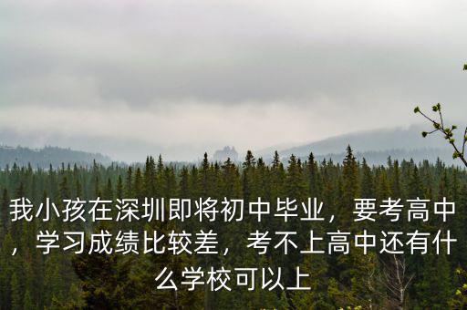 我小孩在深圳即將初中畢業，要考高中，學習成績比較差，考不上高中還有什么學校可以上