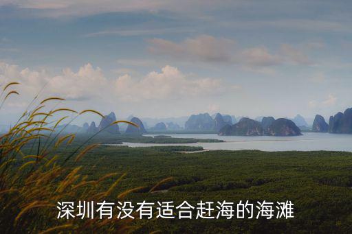 深圳有沒有適合趕海的海灘