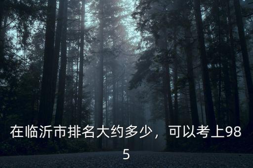 臨沂大學在國內排名多少,在臨沂市排名大約多少