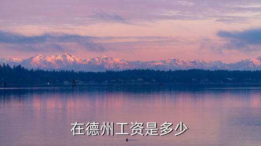 在德州工資是多少