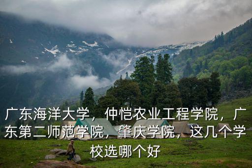 廣東海洋大學(xué)怎么搶課,廣東海洋大學(xué)怎么樣