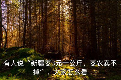 青島市紅棗多少錢一公斤,新疆大棗多少錢/公斤