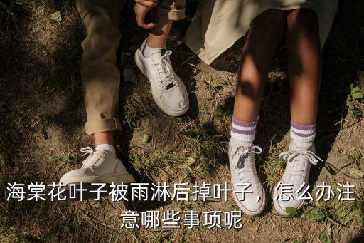 海棠花葉子被雨淋后掉葉子，怎么辦注意哪些事項呢