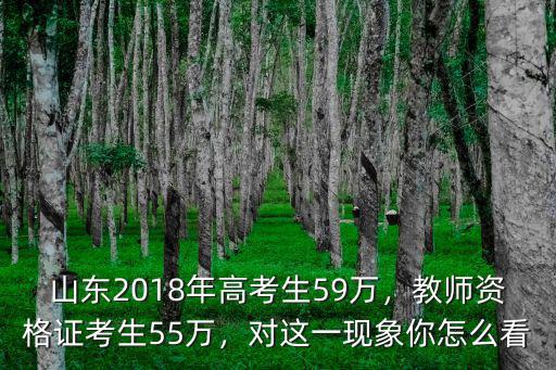 山東2017年多少考生,山東2018年高考生59萬