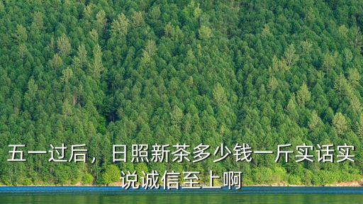 正宗日照春茶多少錢一斤,日照新茶多少錢一斤