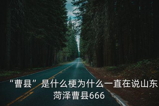 山東菏澤曹縣多少人,曹縣是什么梗