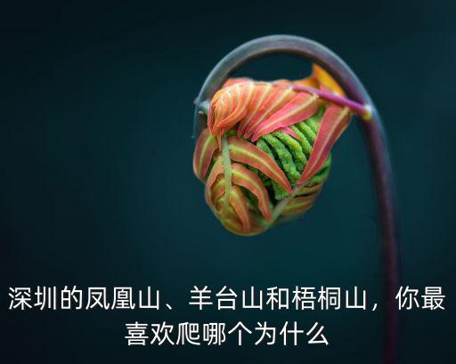 深圳鳳凰山從哪里開始爬,深圳的鳳凰山