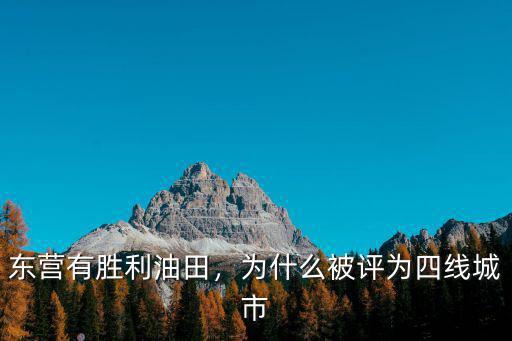 東營有勝利油田，為什么被評為四線城市