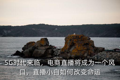 東莞直播電商風口怎么搶,直播電商和社交電商的風口