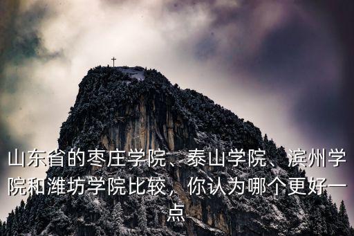 棗莊學(xué)院學(xué)生有多少,濱州學(xué)院和濰坊學(xué)院比較