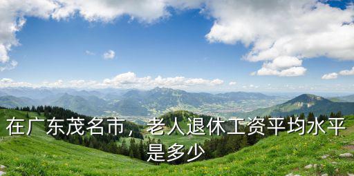 在廣東茂名市，老人退休工資平均水平是多少